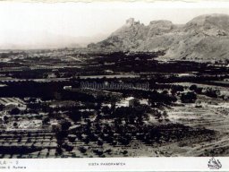 Mula Antigua serie-2